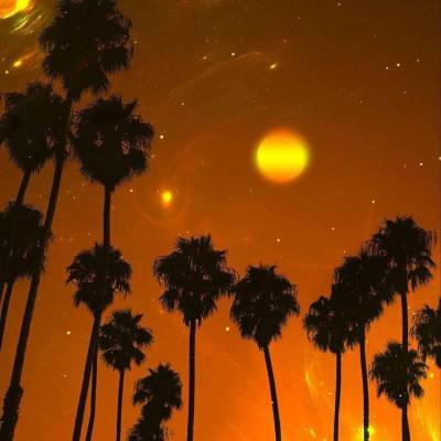 好彩网手机app下载截图