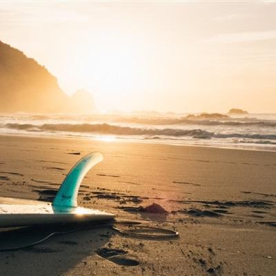 xk星空体育下载