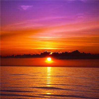 乐天堂点评指导