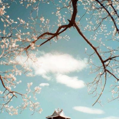 澳门精准正版资料大全截图